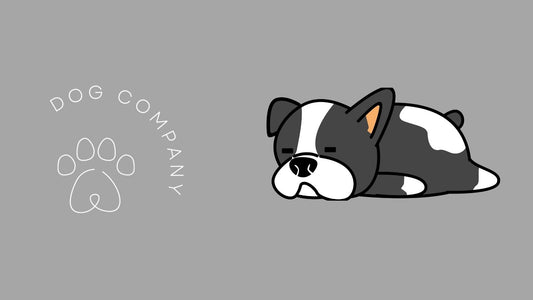 Dog Company - your online dog store
